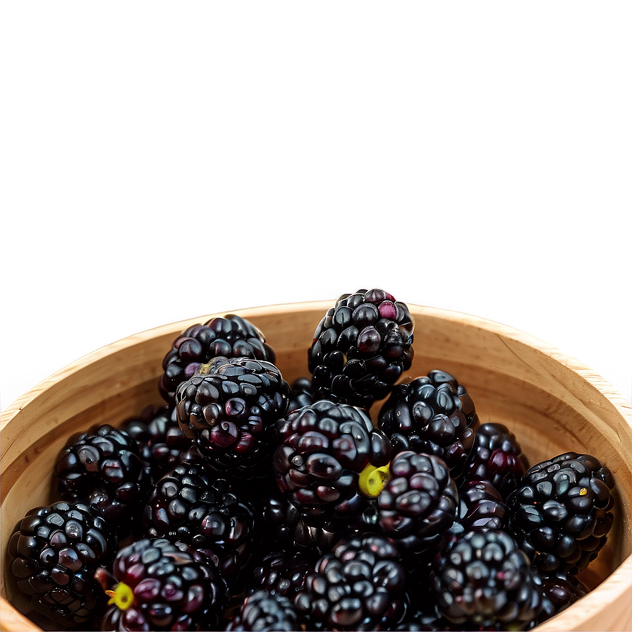 Blackberry Harvest Png 05232024