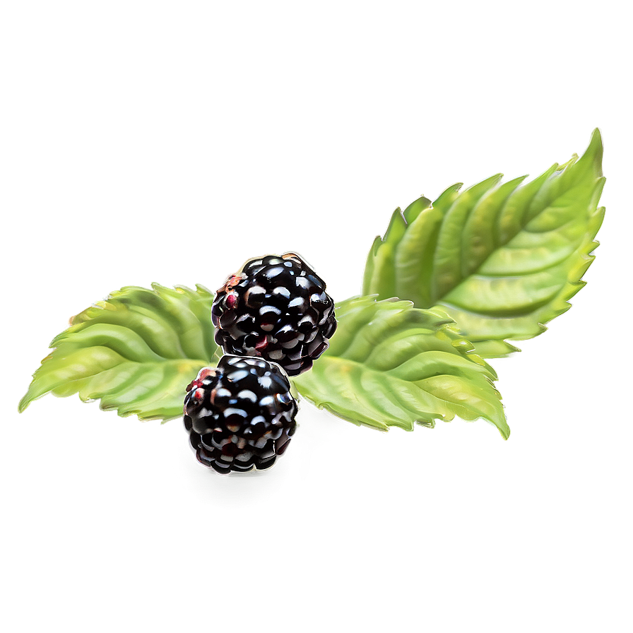 Blackberry Jam Ingredient Png 05232024