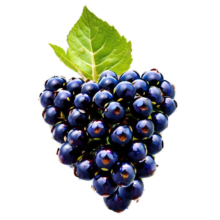 Blackberry On Branch Png Gqa82