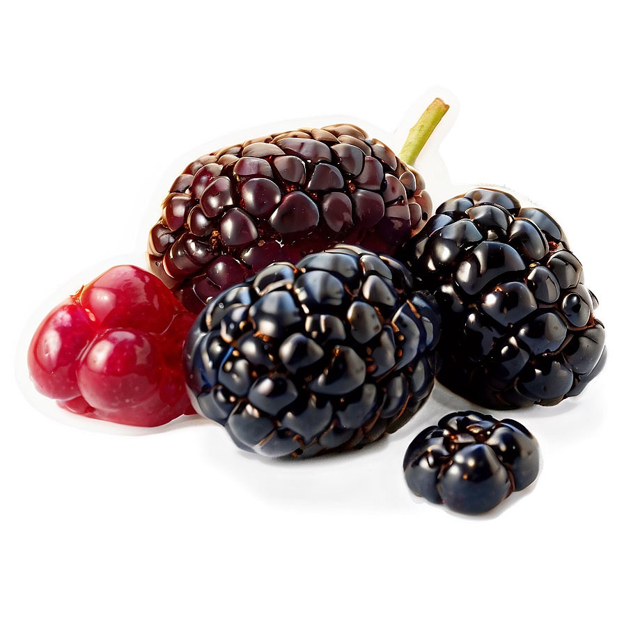 Blackberry Snack Png Fbq21