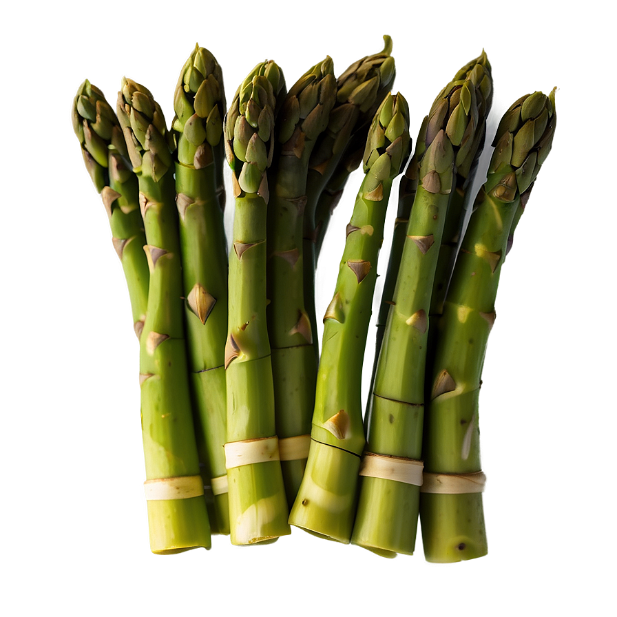 Blanched Asparagus Png 96