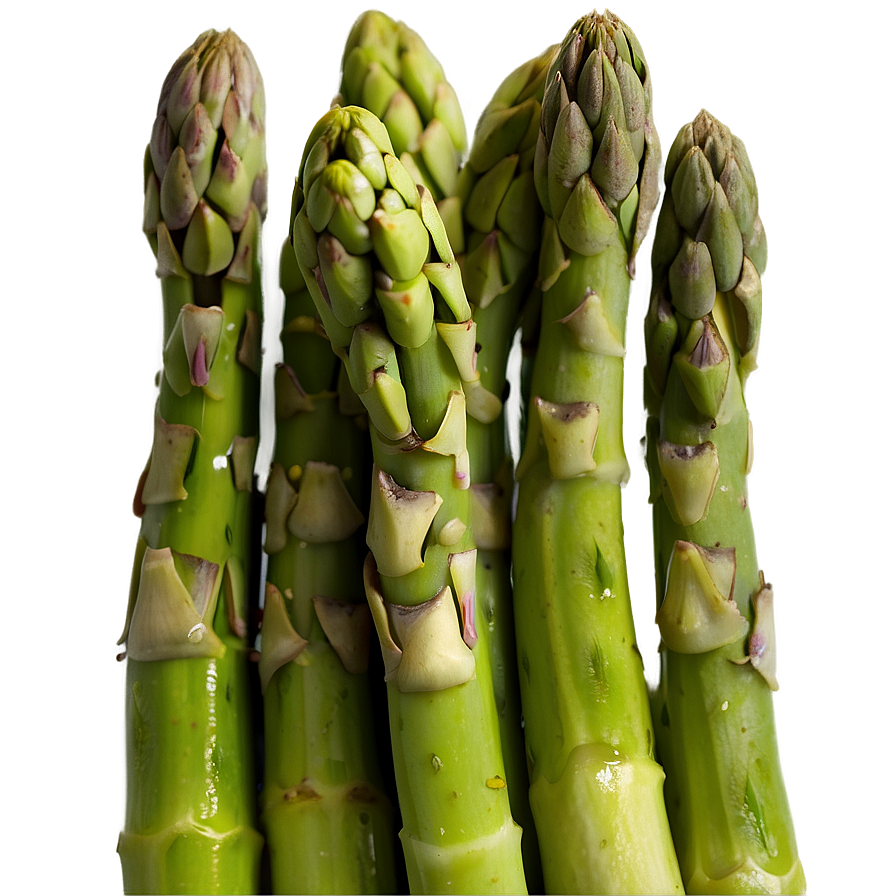 Blanched Asparagus Png Fwr23