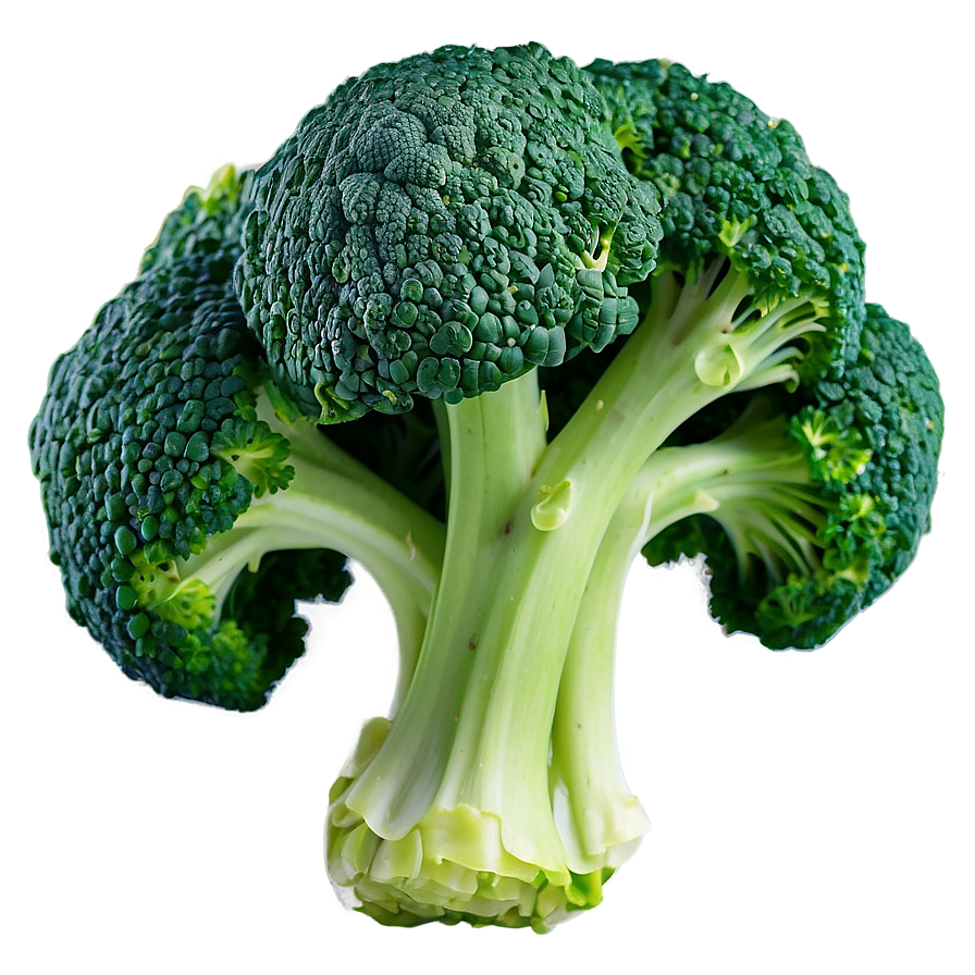 Blanched Broccoli Png Obu