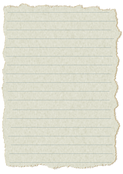 Blank_ Antique_ Paper_ Texture