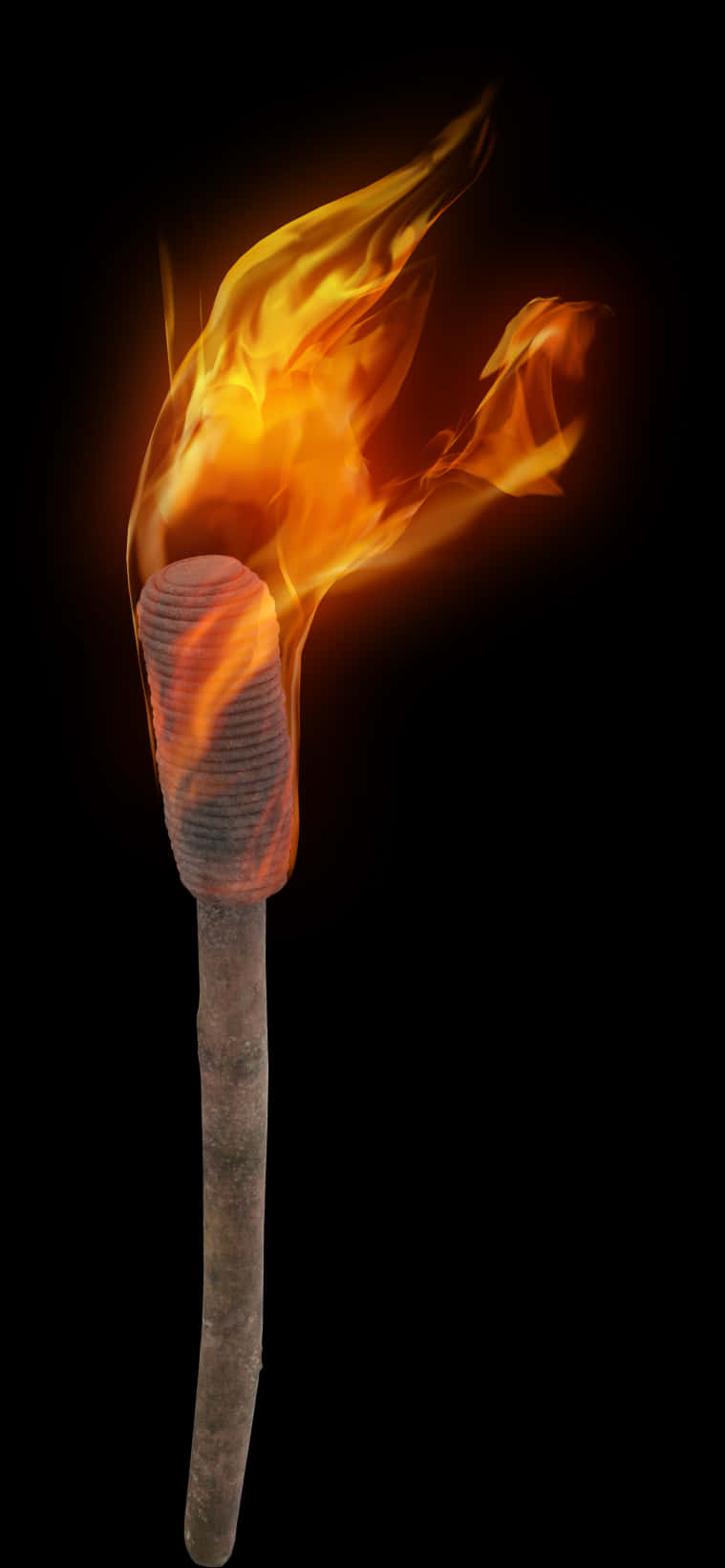 Blazing Torch Against Dark Background.jpg