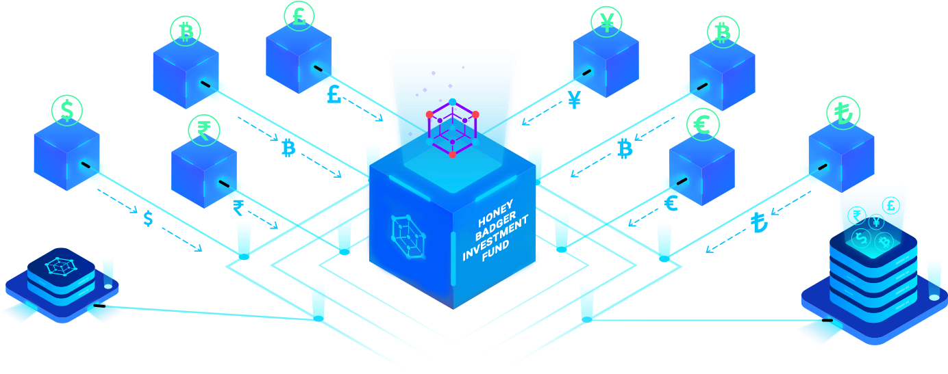 Blockchain Investment Fund Illustration