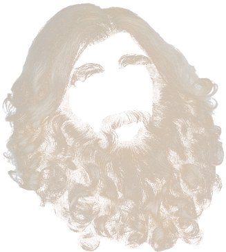 Blonde Curly Beard Illustration