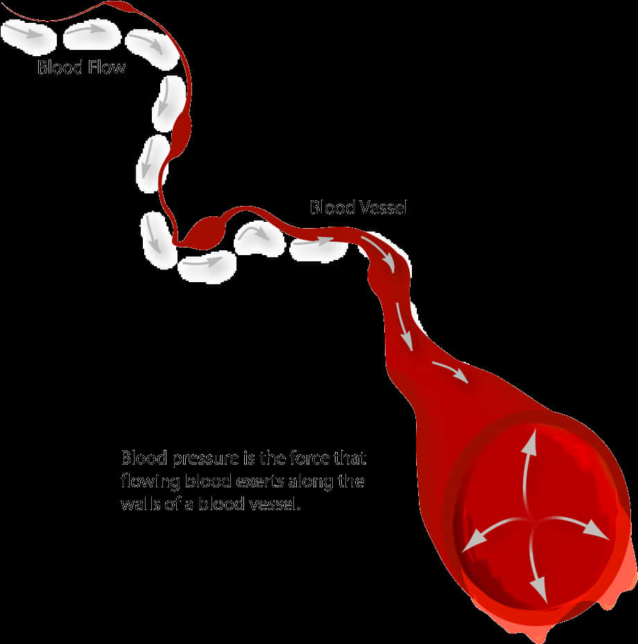 Blood Pressureand Flow Explanation