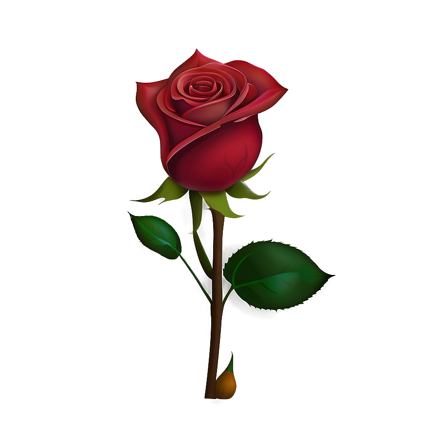 Blooming Red Rose Png 05242024