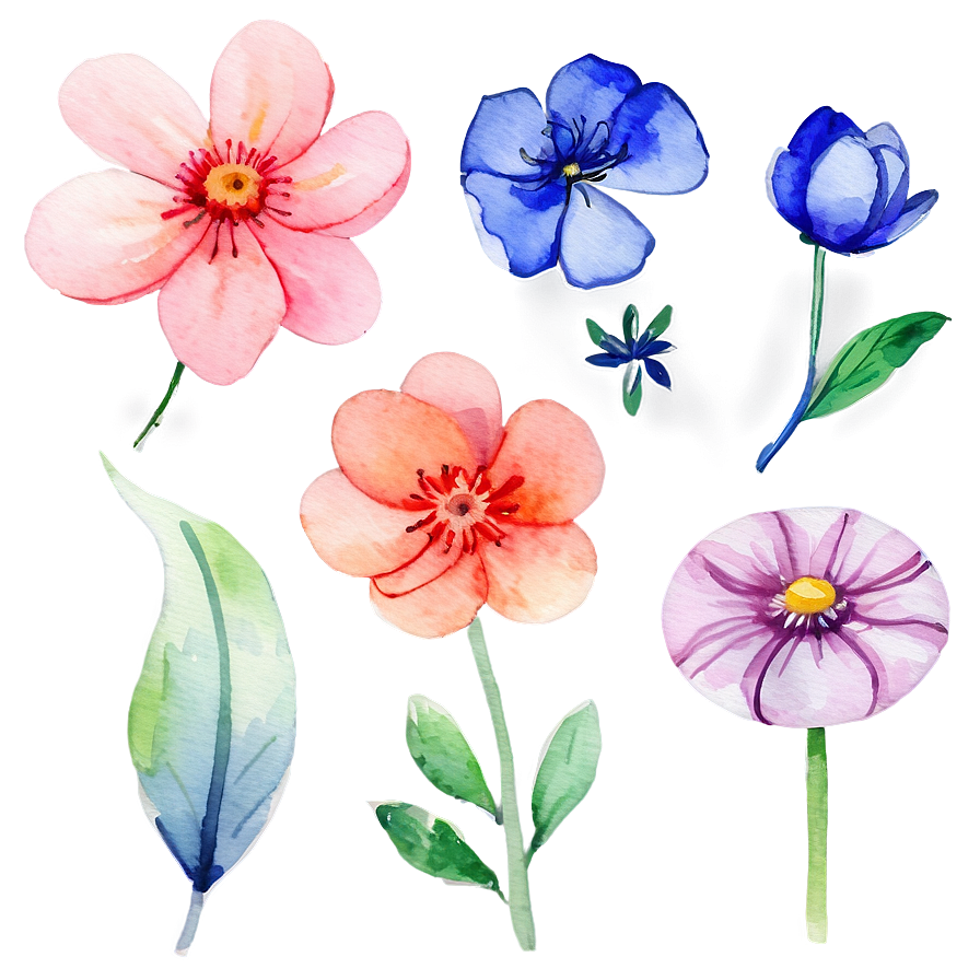 Blooming Watercolor Flowers Png Nml62