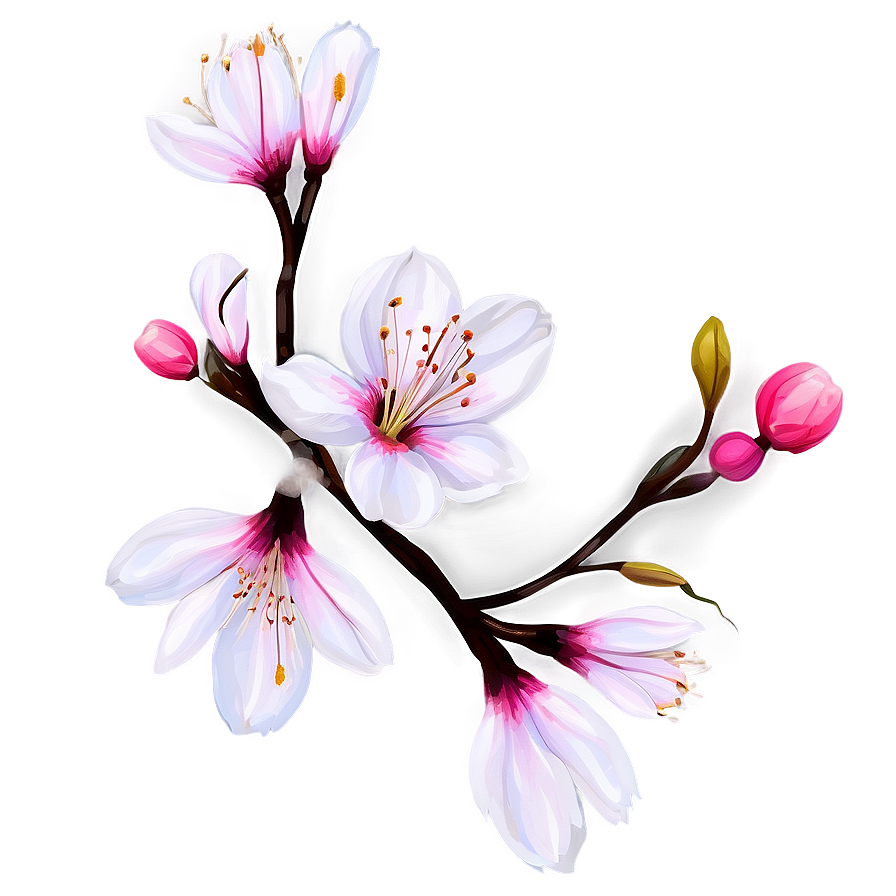 Blossom Flower Png 12