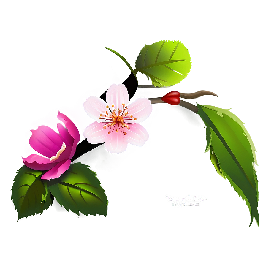 Blossom Wallpaper Png 06252024