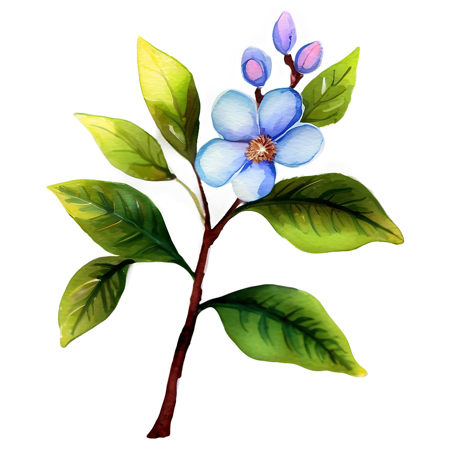 Blossom Watercolor Png Auo84