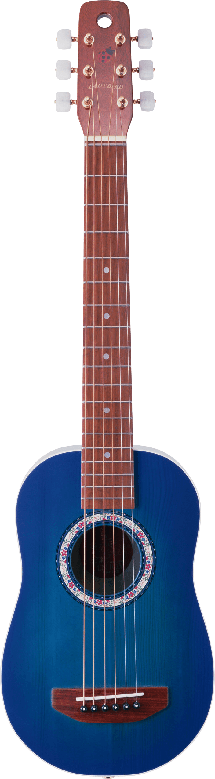 Blue Acoustic Guitar