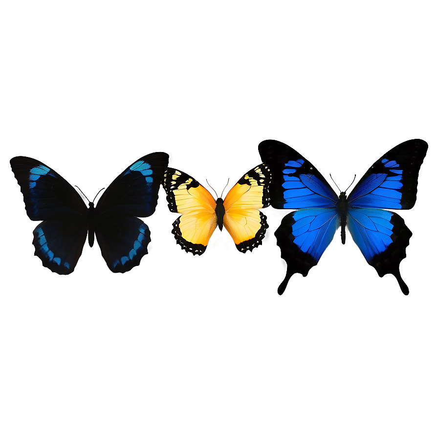 Blue And Black Butterfly Png Ycy