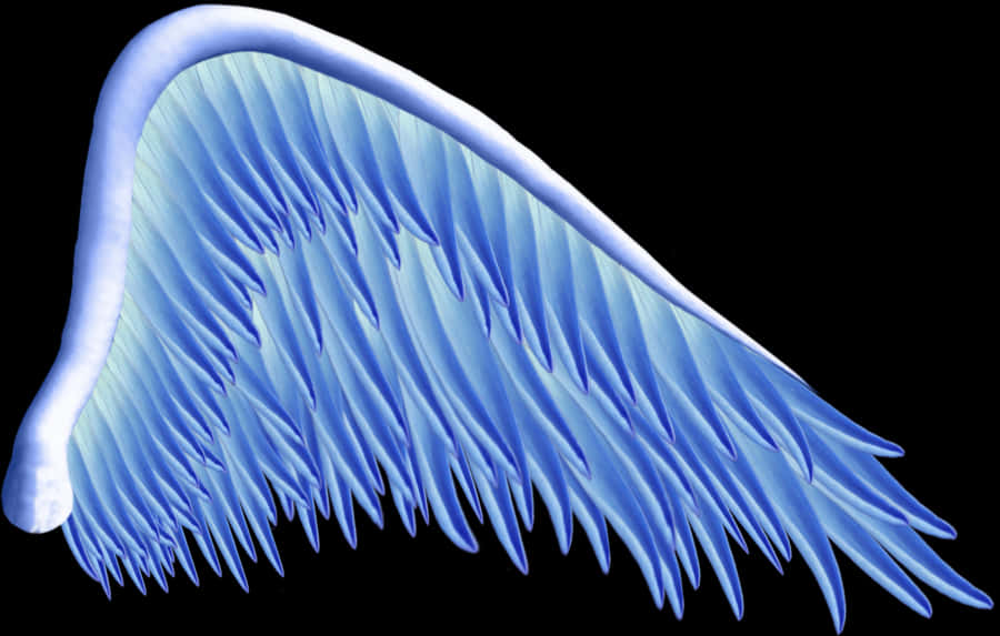 Blue Angel Wing Illustration