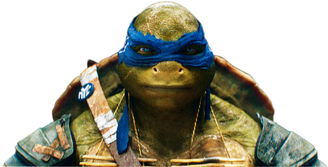 Blue Bandana Ninja Turtle