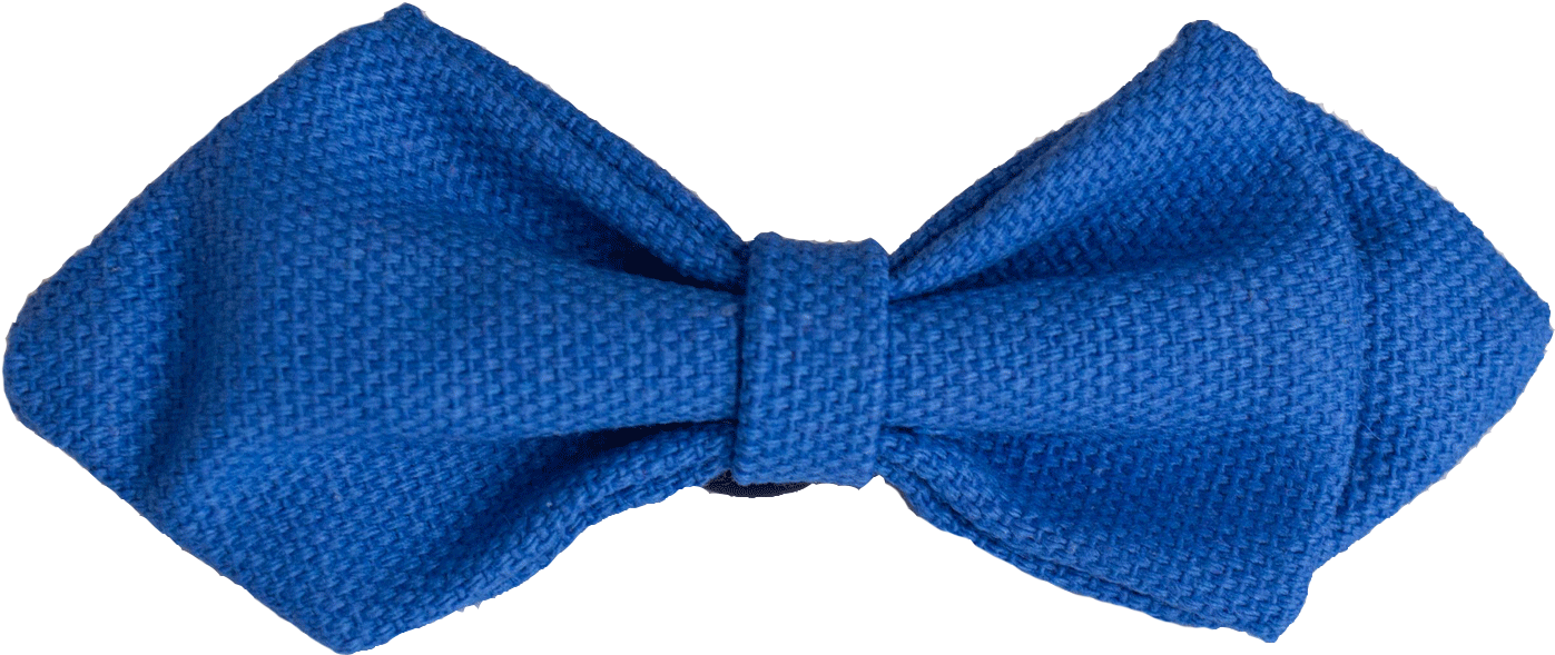 Blue Bow Tie Accessory