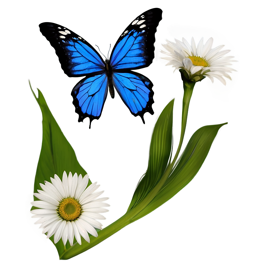 Blue Butterflies And Flowers Png 06132024