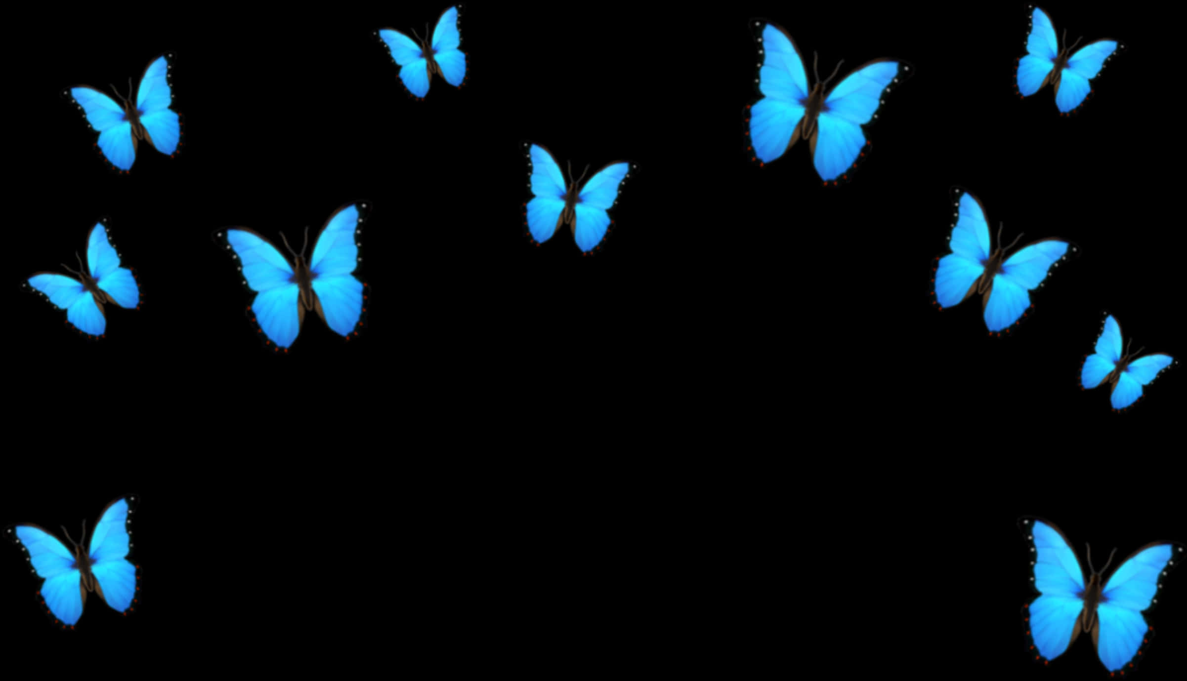 Blue Butterflies Black Background