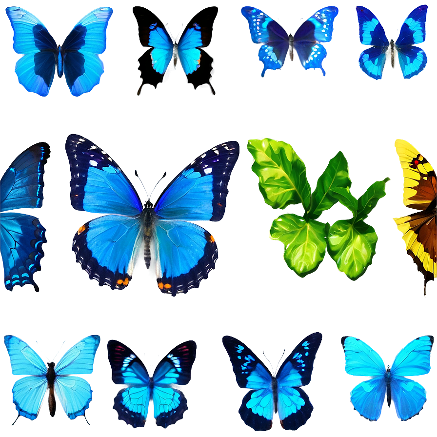 Blue Butterflies In Nature Png 06132024