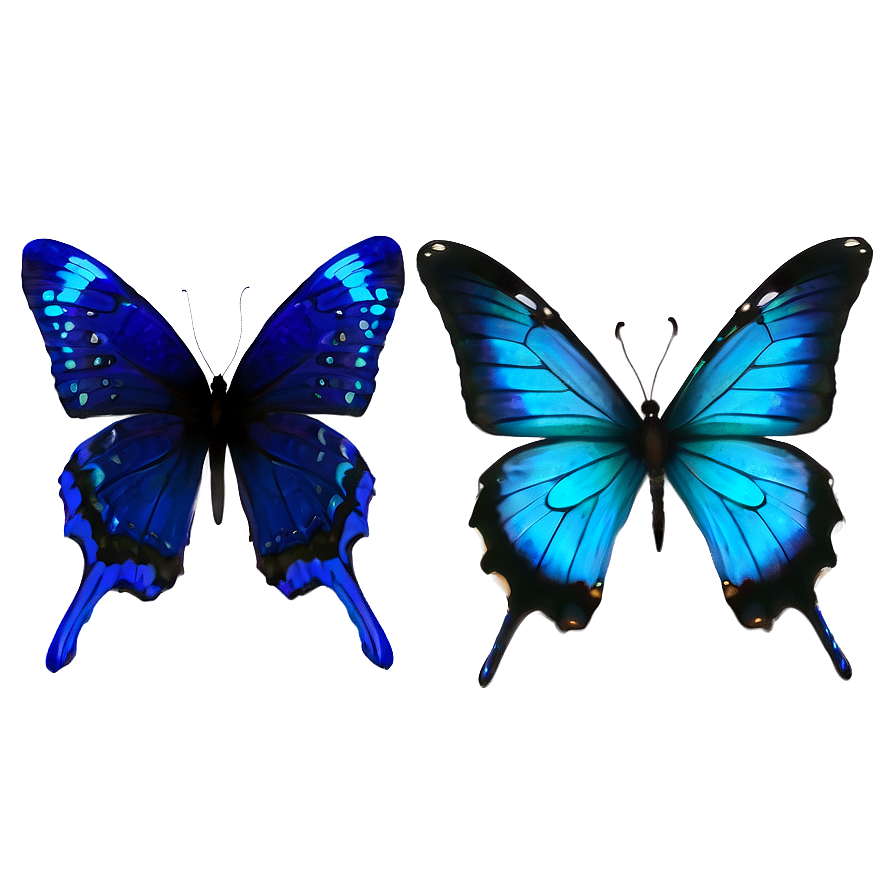 Blue Butterflies Png 28