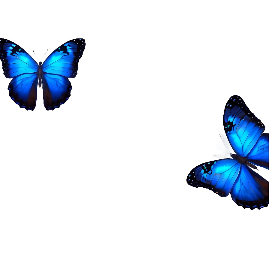 Blue Butterfly Under Moonlight Png Dlv59