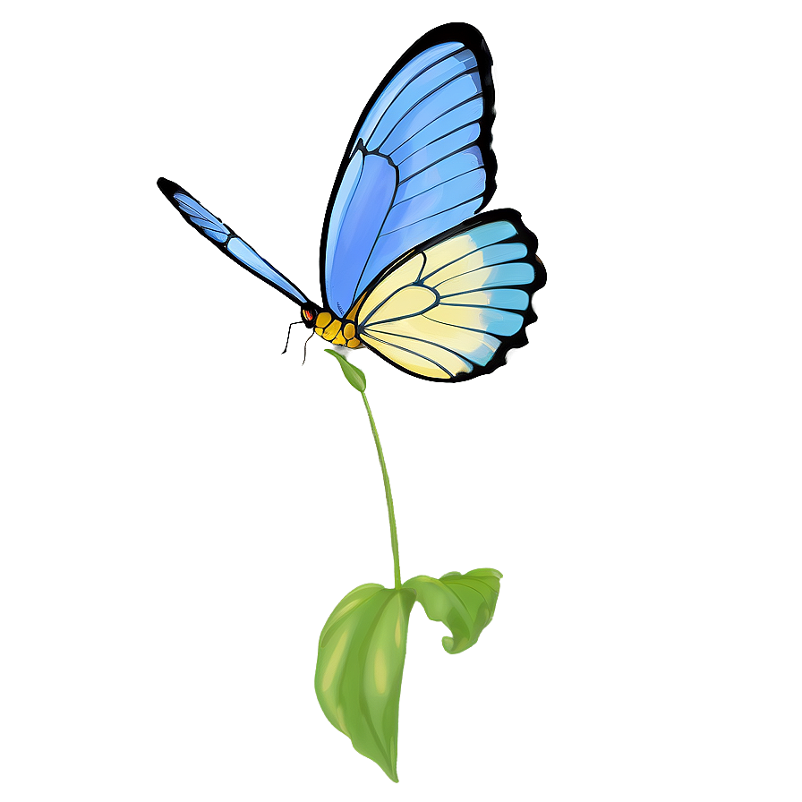 Blue Butterfly With Open Wings Png Fcy