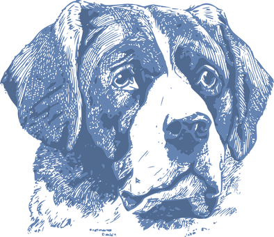 Blue Dog Sketch Art