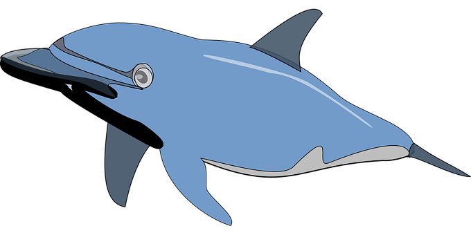 Blue Dolphin Illustration