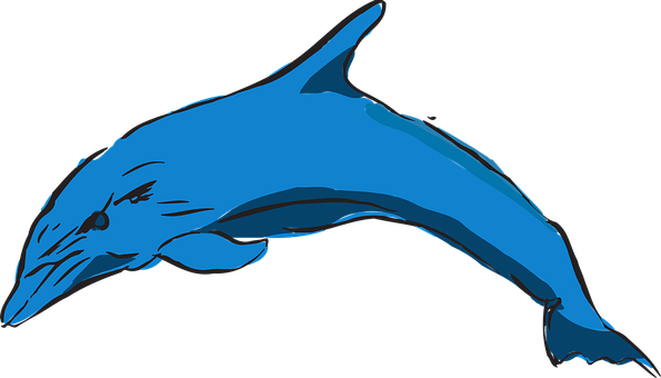 Blue Dolphin Illustration