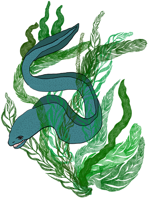 Blue Eel Among Seaweed Illustration