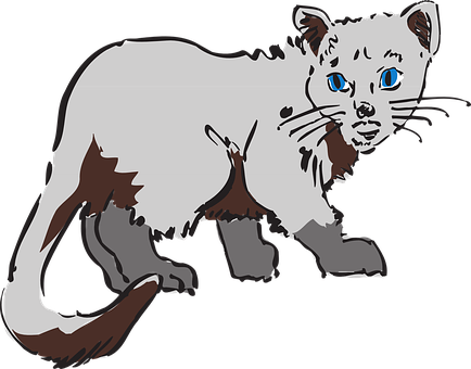 Blue Eyed Cat Illustration.png