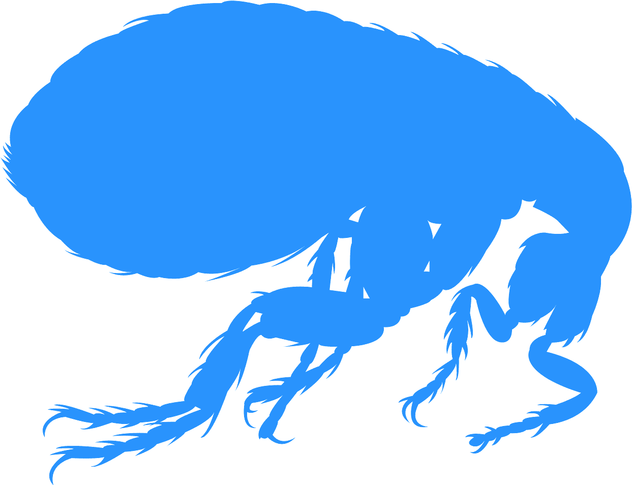 Blue Flea Silhouette