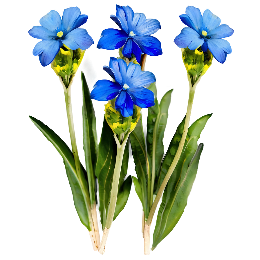 Blue Flowers Bouquet Png Wdh