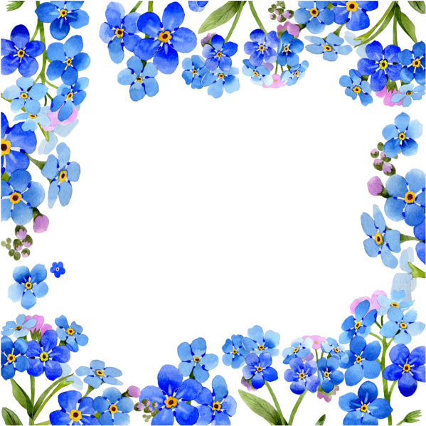 Blue Forget Me Not Floral Frame