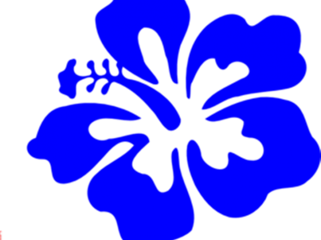 Blue Hawaiian Hibiscus Graphic