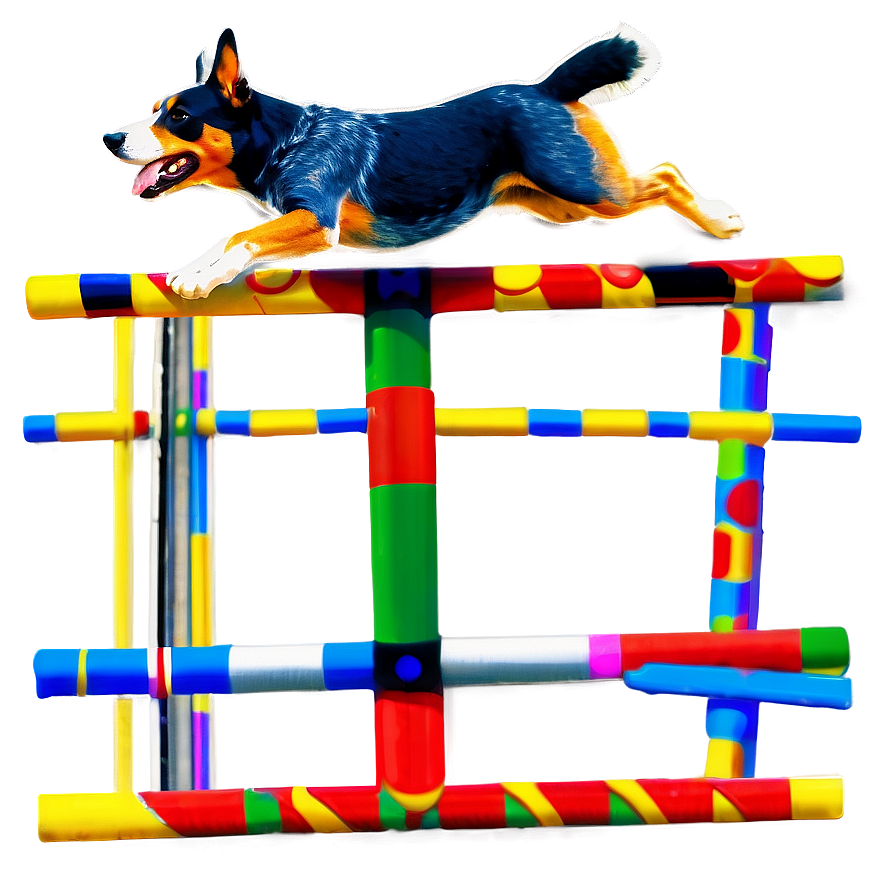 Blue Heeler Agility Course Png Yeb4