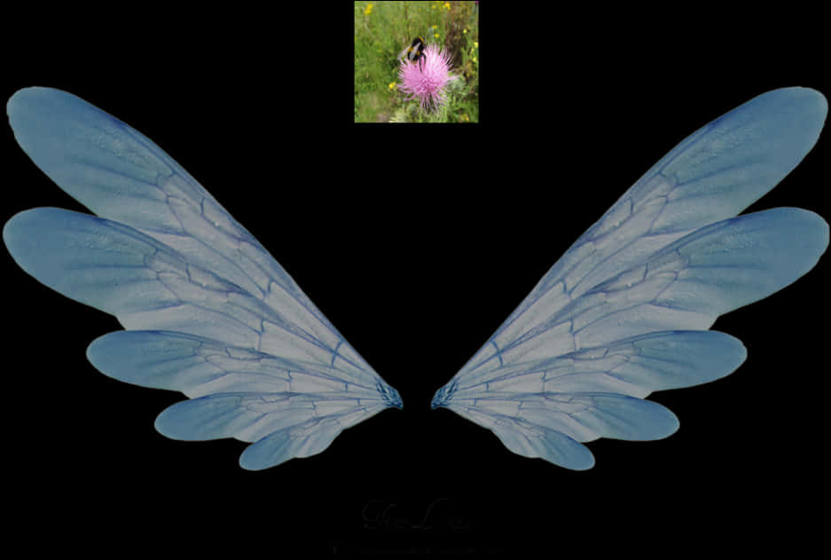 Blue Insect Wings Artistic Representation