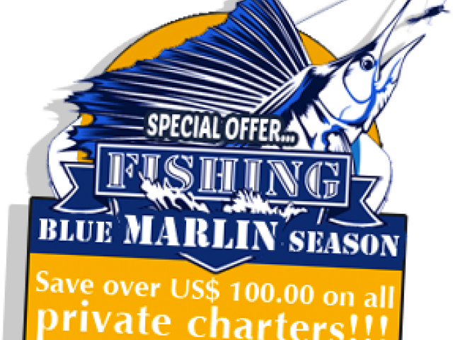 Blue Marlin Fishing Season Promotion