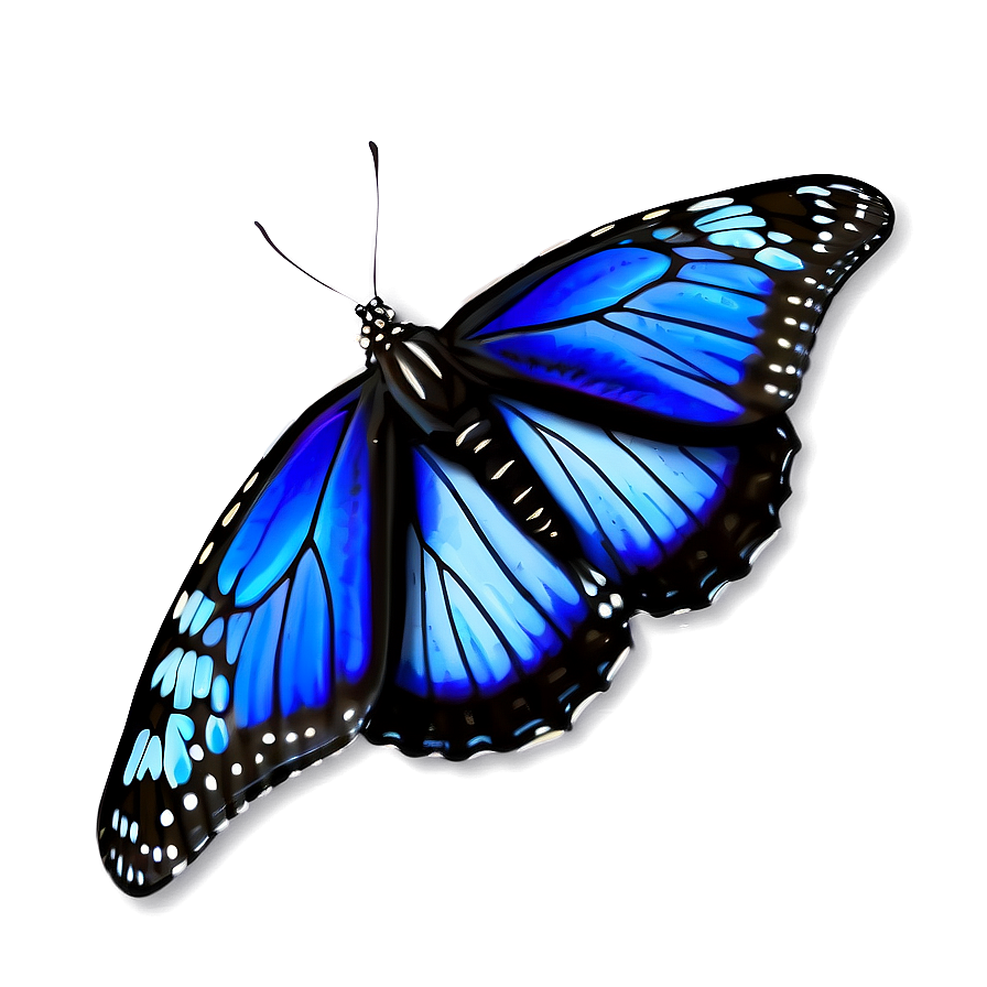 Blue Monarch Butterflies Png 55