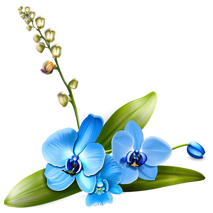 Blue Orchid Png Dbh