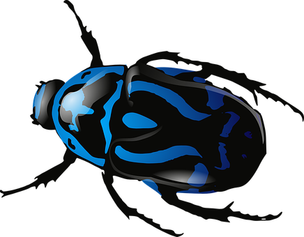 Blue Patterned Beetle Illustration