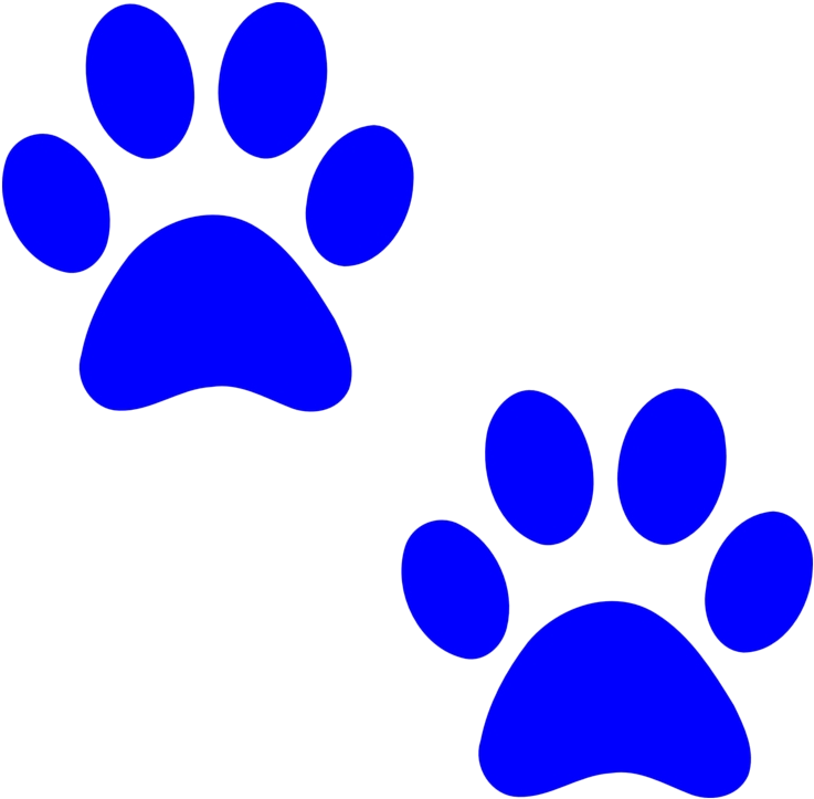 Blue Paw Prints Graphic