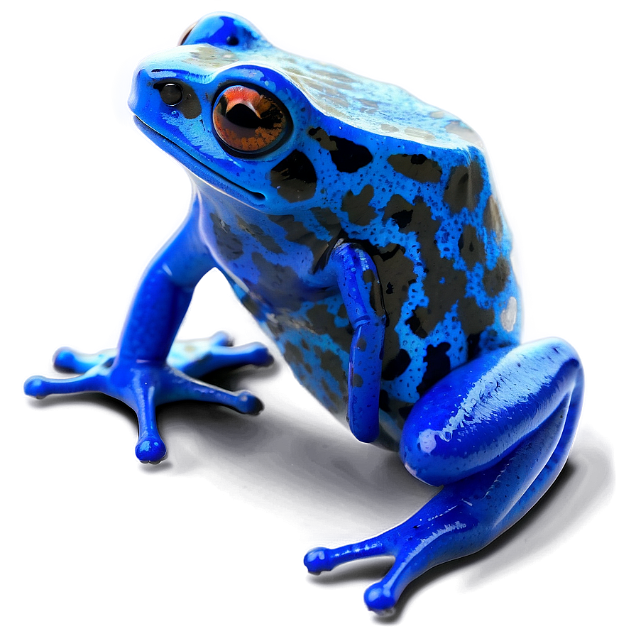 Blue Poison Dart Frog Png Dwv