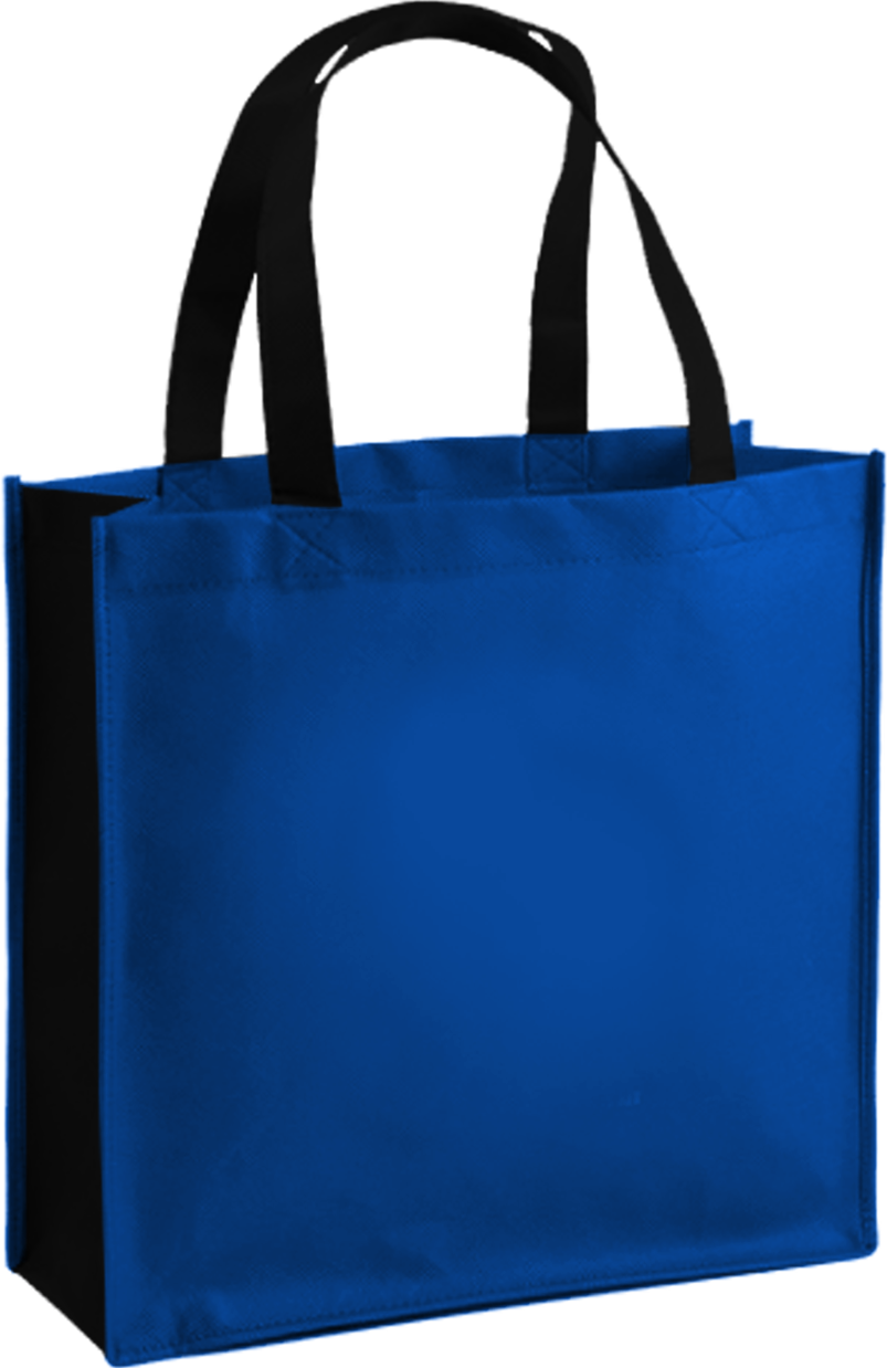 Blue Reusable Shopping Bag