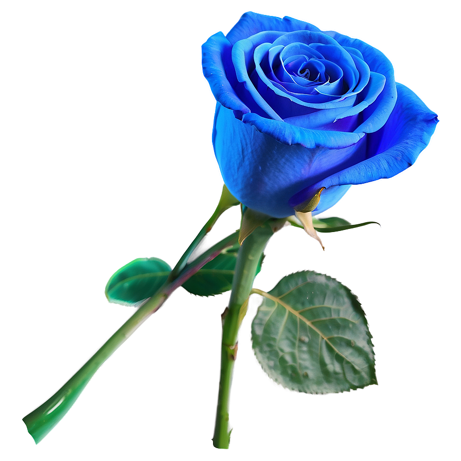 Blue Rose Bouquet Png Rgn4