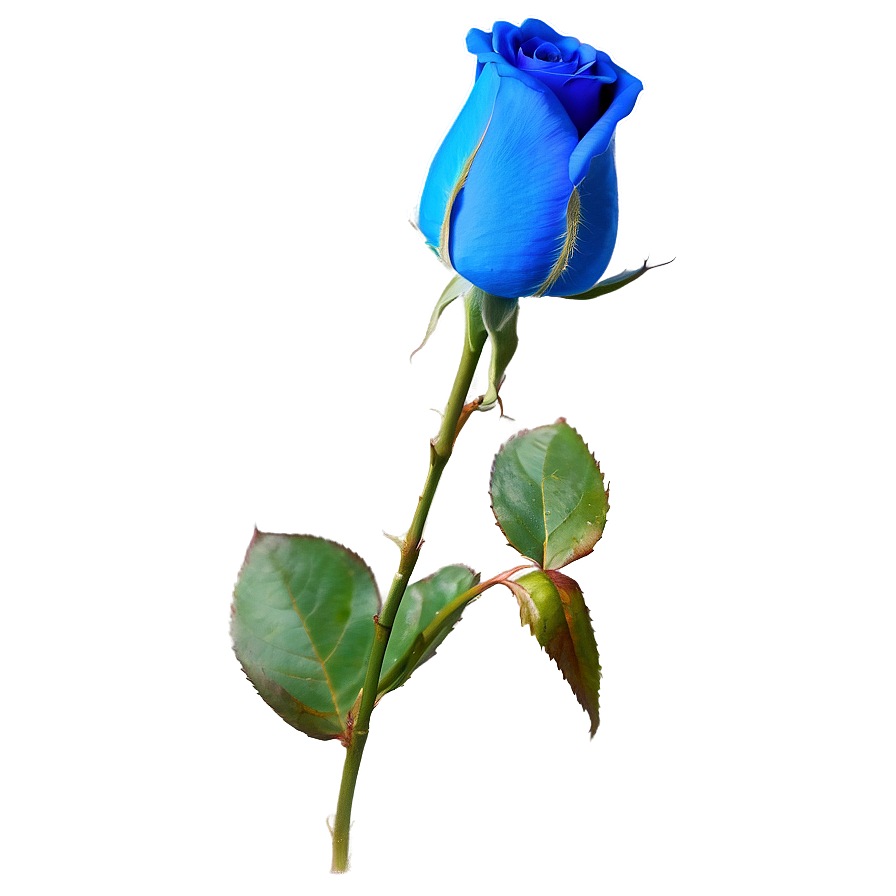 Blue Rose Bud Png Qjs75