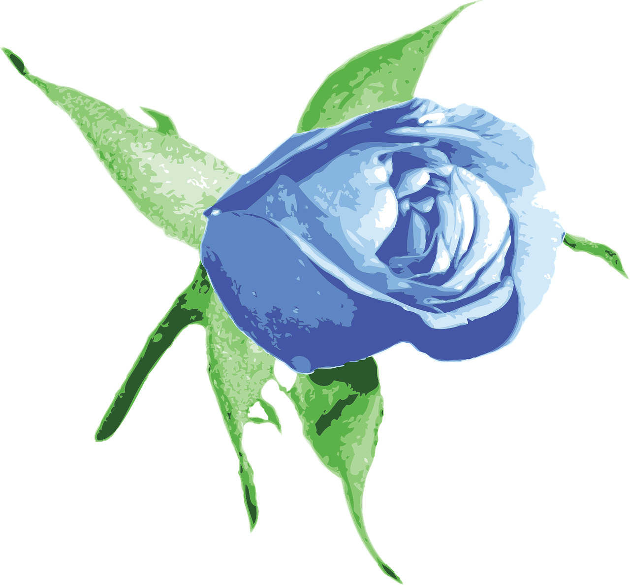 Blue Rose Illustration.png