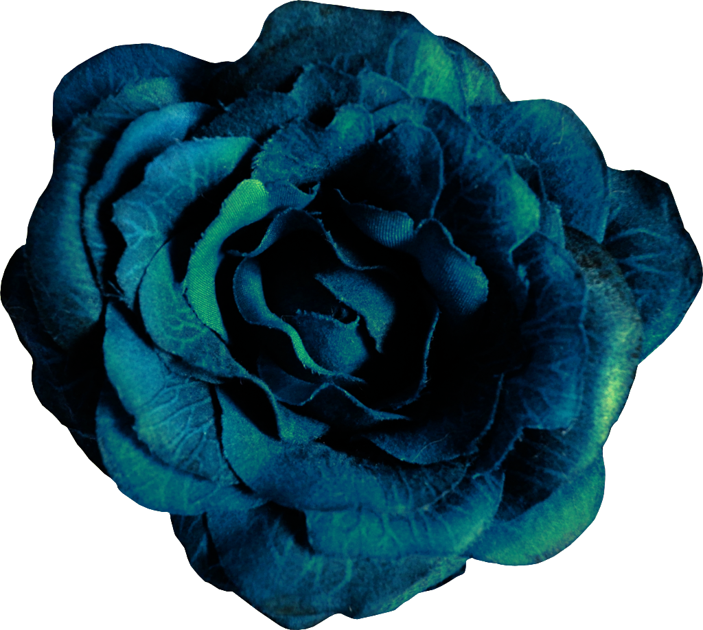 Blue Rose Vector Art